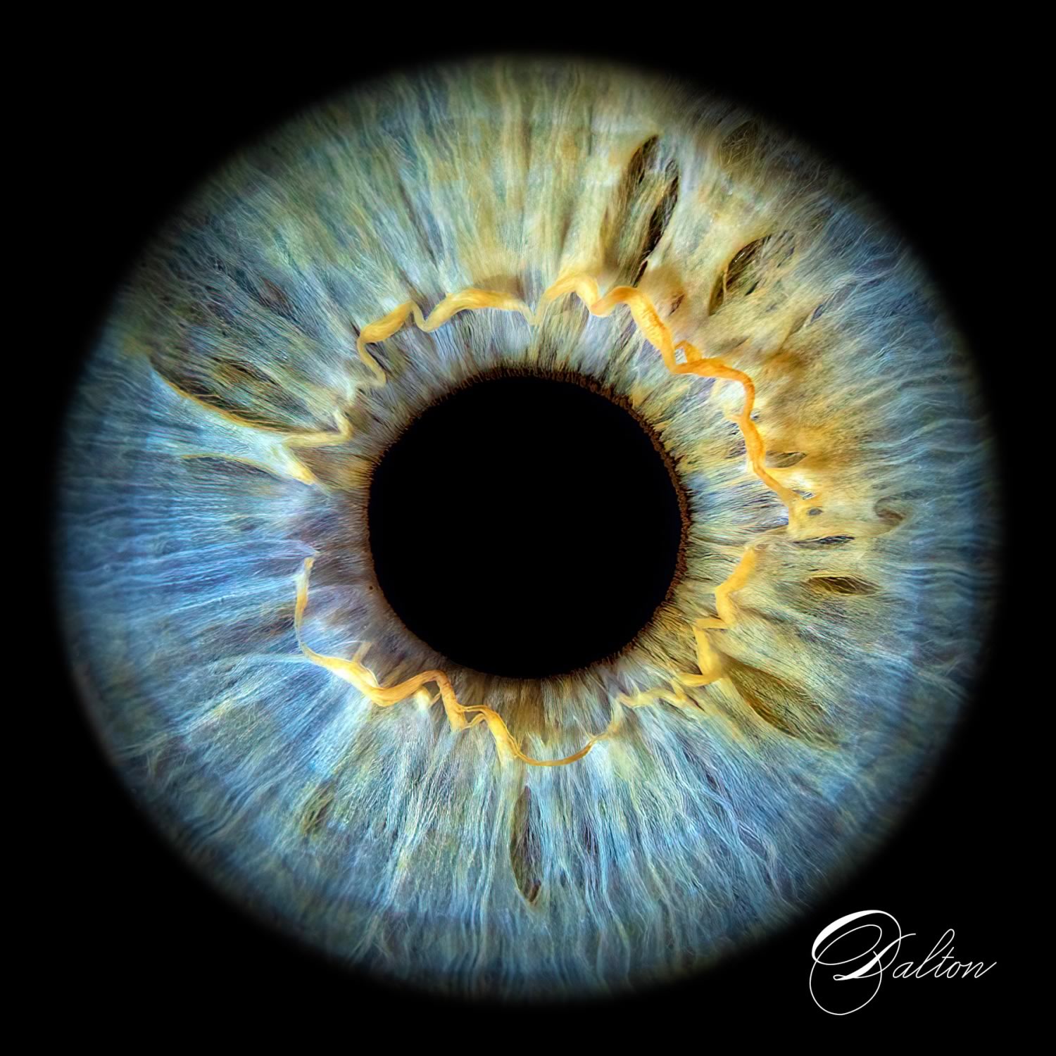 Iris editing preview